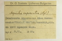 Bulgaria, Ö. Szatala 7232 (Accession number: none)