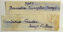 Austria, J. Leitner 7987 (Accession number: none)