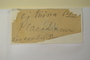 No location, s.col. s.n. (Accession number: 1088232)