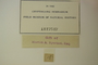 U.S.A. (Maine), J. Blake s.n. (Accession number: 117547)