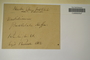 U.S.A. (Vermont), J. L. Russell s.n. (Accession number: 277482)