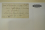 U.S.A. (Maine), J. Blake s.n. (Accession number: 1117599)
