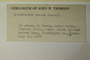 U.S.A. (Pennsylvania), J. W. Thomson s.n. (Accession number: 1233185)