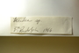 Canada (Quebec), A. Dutilly & E. Lepage 6670 (Accession number: 1223215)