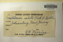 U.S.A. (New Jersey), G. G. Nearing s.n. (Accession number: 1235435)