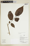 Herbarium Sheet V0375940F