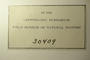U.S.A. (Florida), W. W. Calkins s.n. (Accession number: 30409)