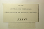 U.S.A. (Louisiana), J. W. Eckfeldt 851 (Accession number: 28940)