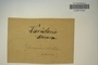 No location, s.col. s.n. (Accession number: 1089505)