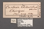 Athis clitarcha labels