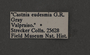 Castnia eudesmia E label