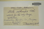 U.S.A. (Oregon), M. S. Doty s.n. (Accession number: 1235534)