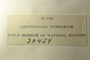 U.S.A. (North Carolina), H. A. Green s.n. (Accession number: 30454)