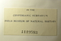U.S.A. (Ohio), E. E. Bogue s.n. (Accession number: 1119583)