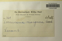 U.S.A. (Vermont), E. Hall 269 (Accession number: 1119592)