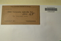 U.S.A. (Tennessee), W. W. Calkins 200 (Accession number: 1034873)