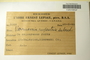Canada (Quebec), E. Lepage 3369 (Accession number: 1242628)