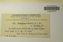 U.S.A. (D.C.), T. A. Williams & E. Snell 223 (Accession number: 1234241)