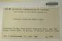 Canada (Northwest Territories), I. M. Lamb 6782 (Accession number: none)