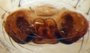 Islandiana cristata female epigynum
