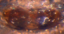 Mecynargus paetulus female epigynum