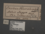 Yagra fonscolombe C labels