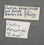 Yagra fonscolombe F labels