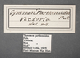 Synemon parthenoides labels