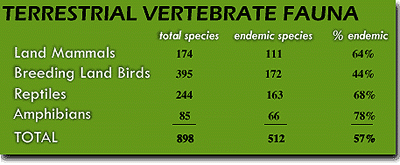 Terrestrial Vertebrate Fauna  