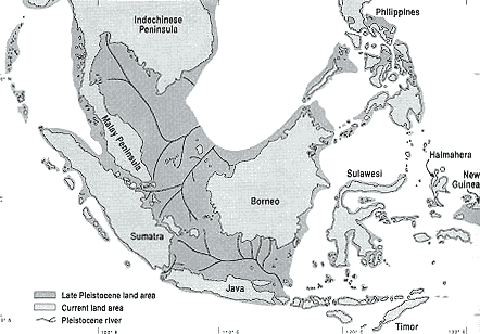 Pleistocene epoch: The last ice age