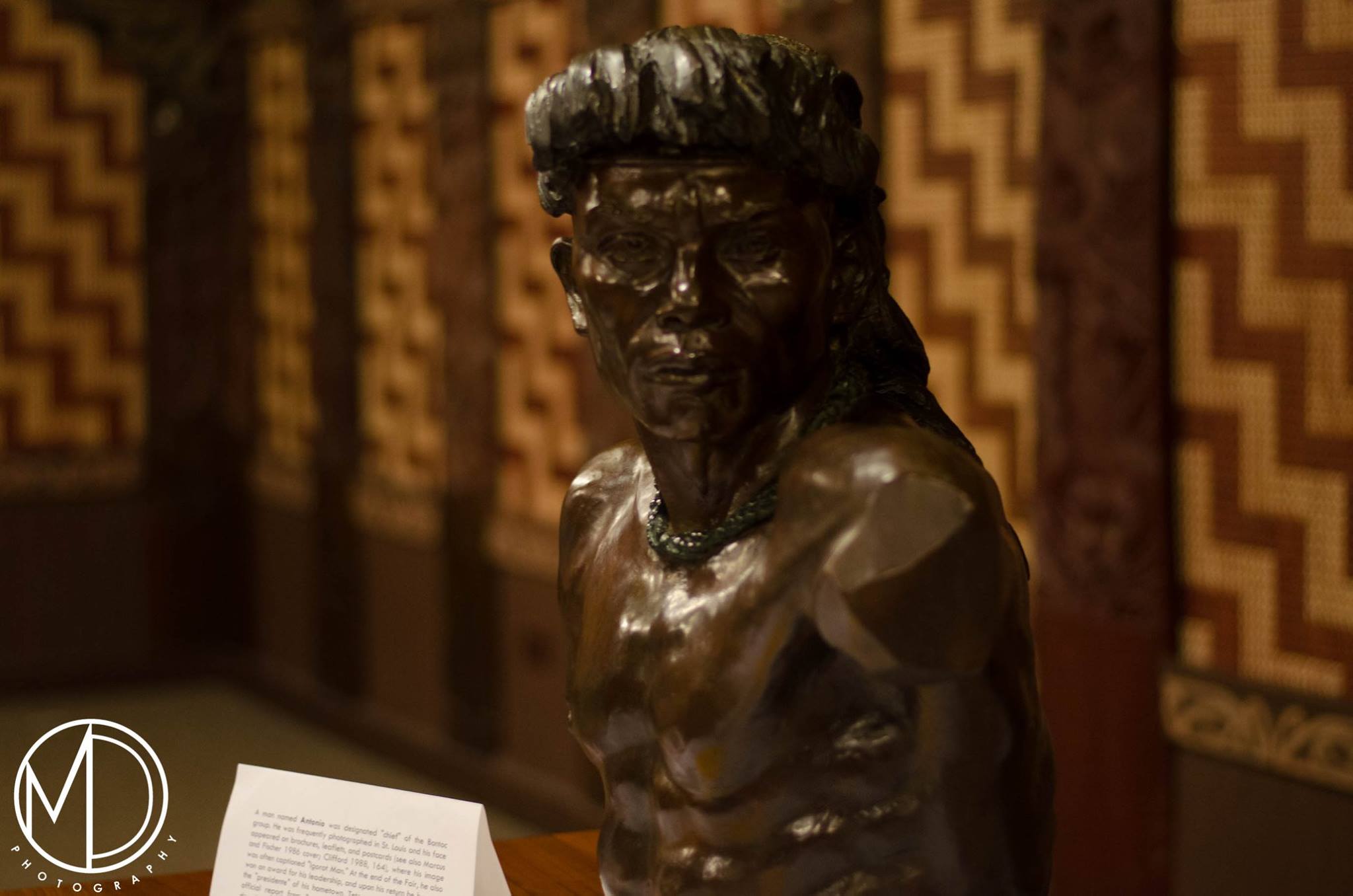 Close up for the Malvina Hoffman bust of Chief Antonio on the artifact display tables. 
