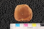 PE49327_p