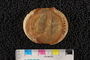 PE49907_p