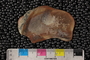 PE51798b_n