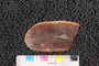PE82040_p