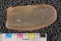 PE82049b_n