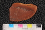 PE82054b_p