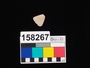 158267 stone possible inlay, triangular