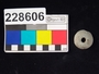 228606 stone spindle whorl