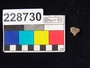 228730 ceramic sealing, stamp seal impression