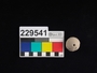 229541 ceramic, possible spindle whorl