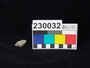 230032 stone fragment