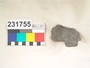 231755 stone sherd, base and body