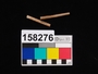 158276.1-.2 faunal pin