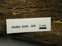 North American Mycological Association Foray : specimen # NAMA 2008-206