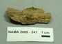 North American Mycological Association Foray : specimen # NAMA 2005-241