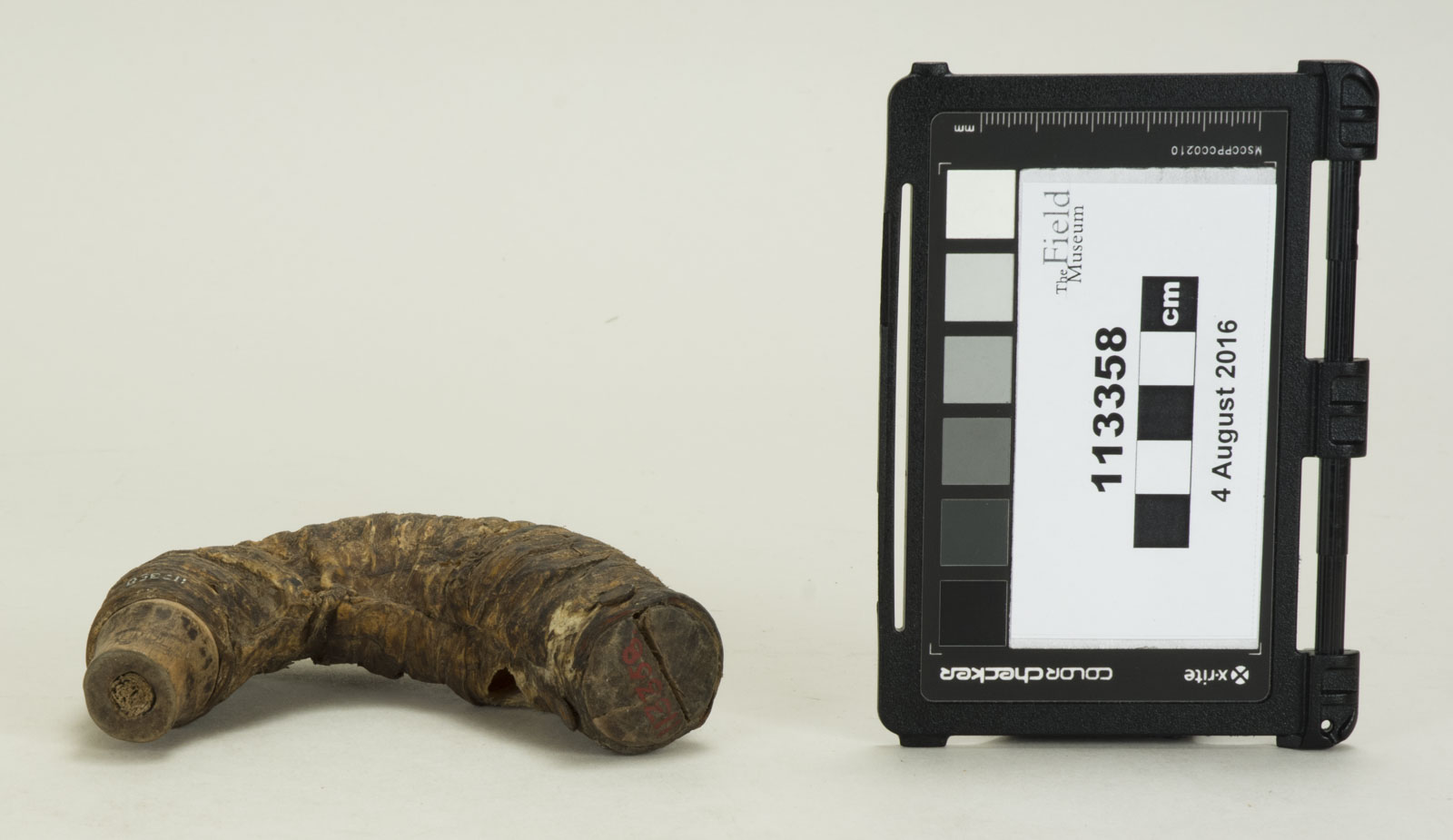 Front Horizontal View 