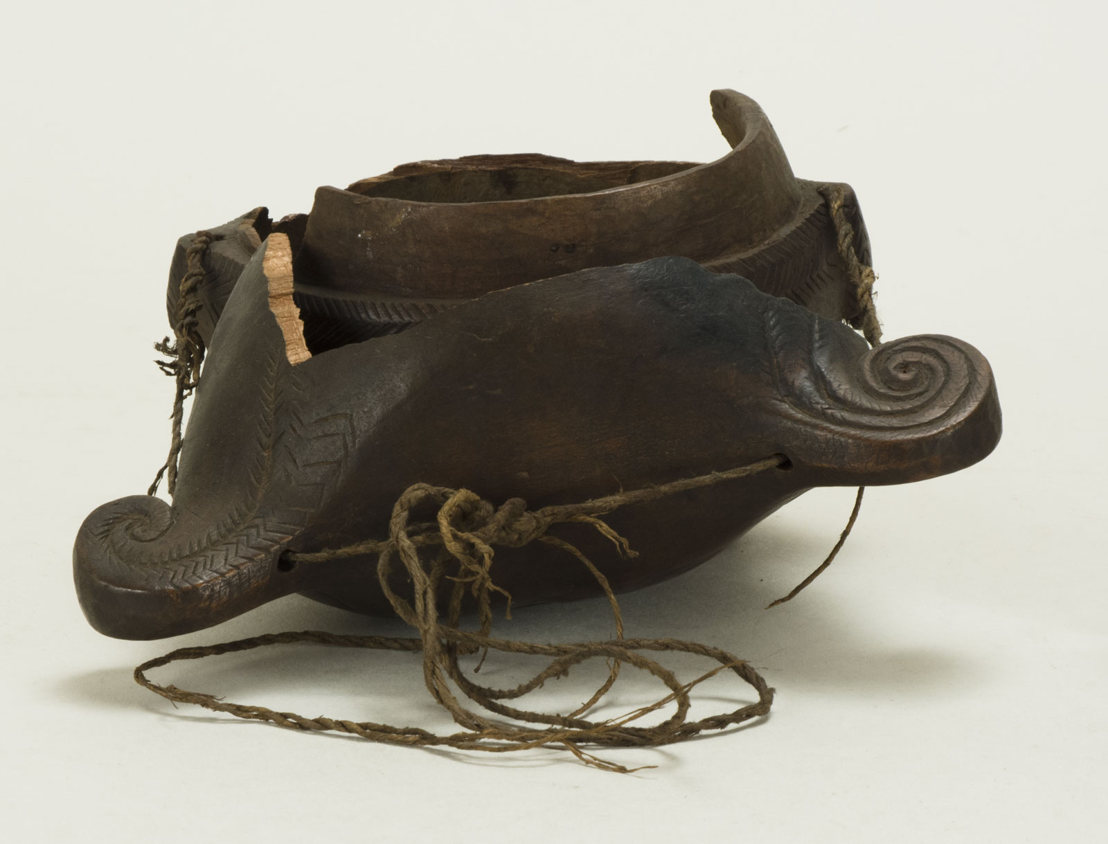 Front Open View Without Scale 