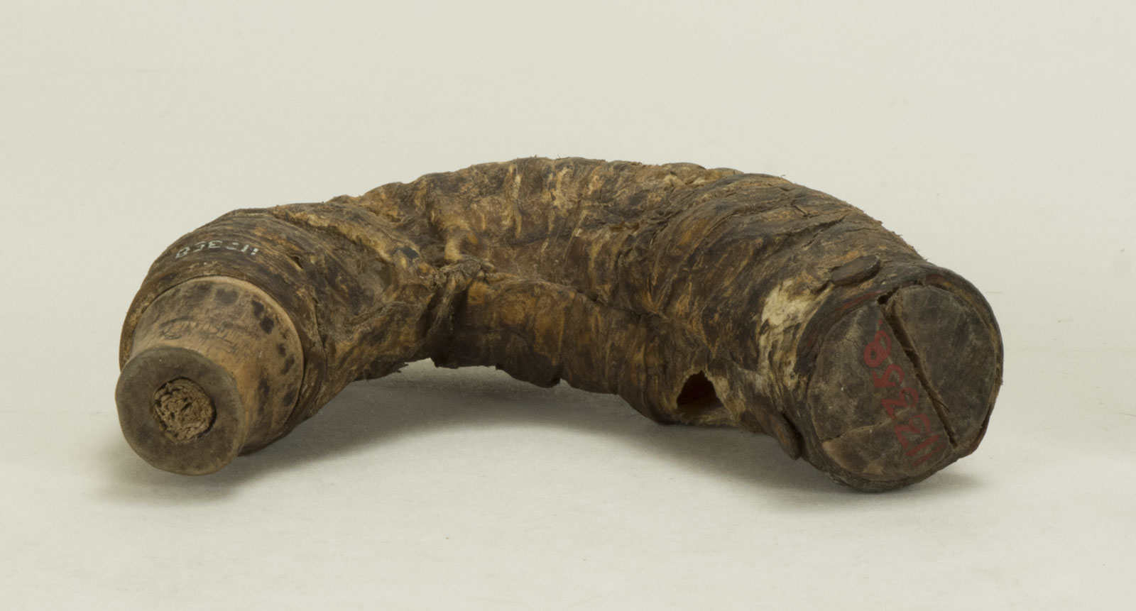 Front Horizontal View Without Scale 