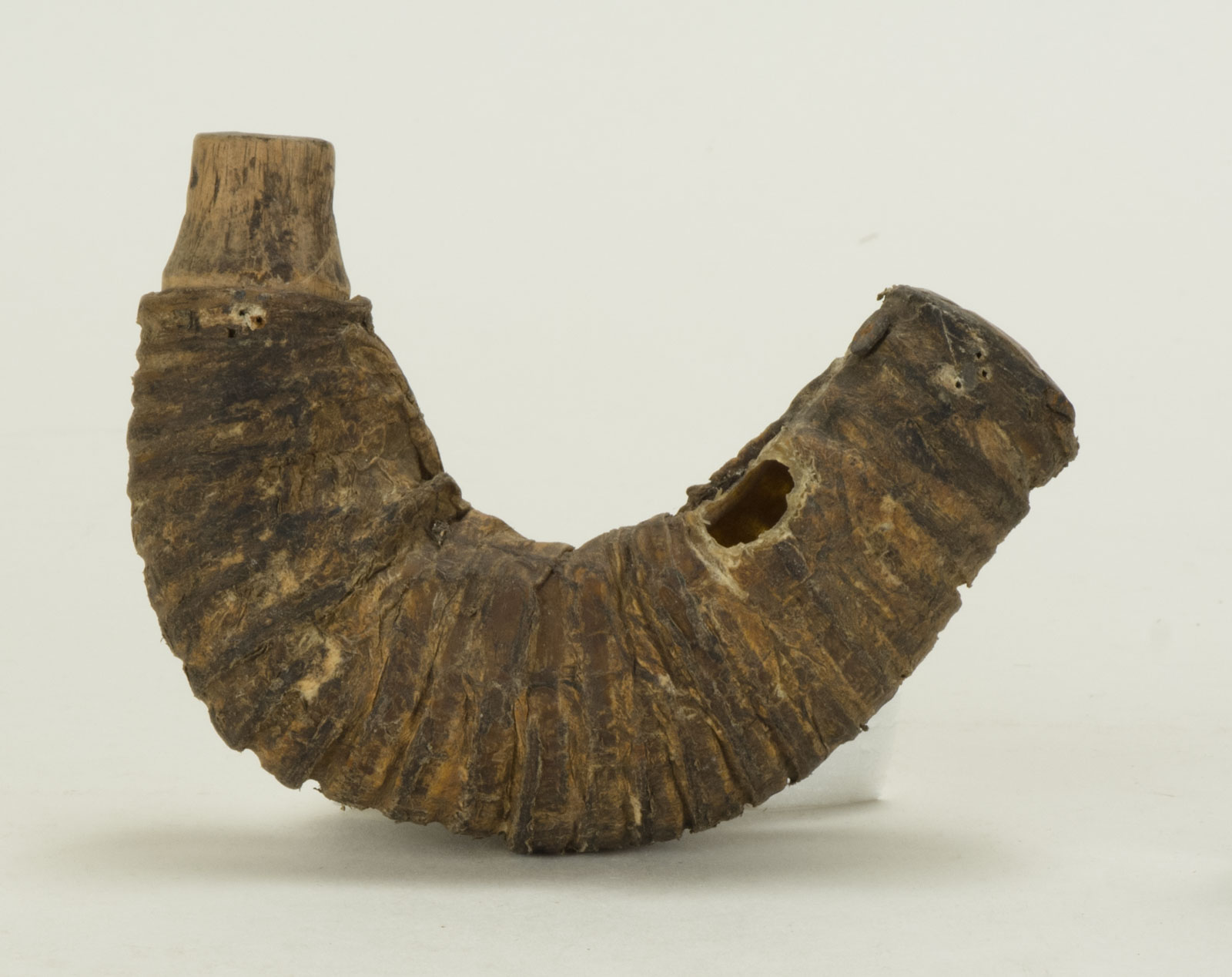 Side View Without Scale 